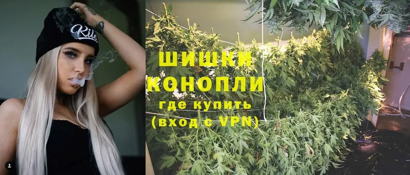 наркотики  Андреаполь  МАРИХУАНА OG Kush 